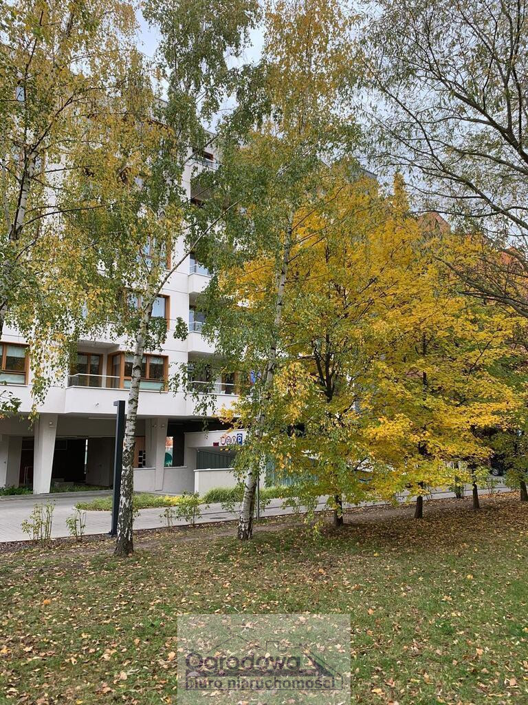Mieszkanie na wynajem